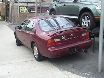 Nissan Maxima 1995, Picture 3